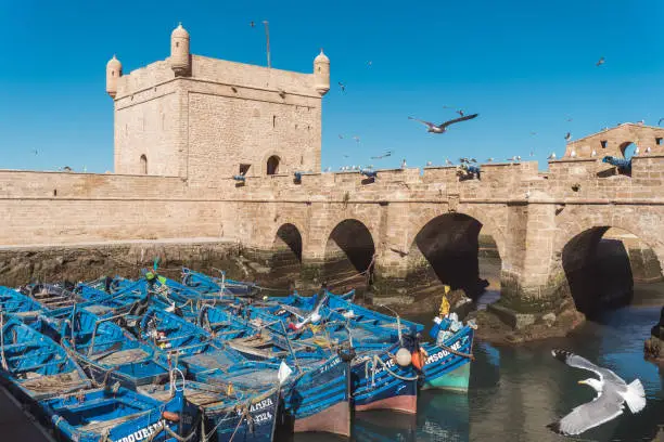 Excursión de 1 día de Marrakech a Essaouira