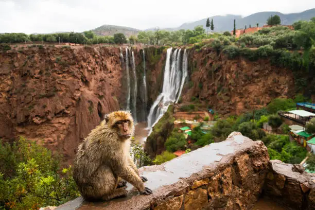 Excursión a las Cascadas de Ouzoud desde Marrakech