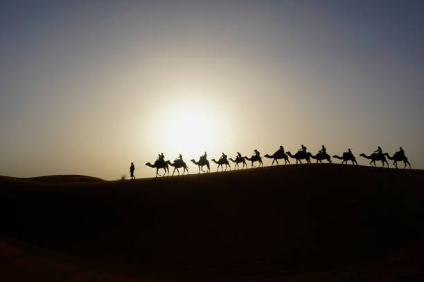 7 Días Al Desierto Desde Tánger a Marrakech