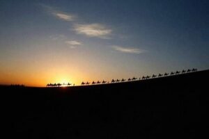 Tour de 4 Días al Desierto de Merzouga desde Marrakech a Fez