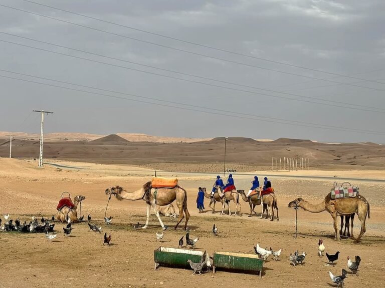 Cena en el desierto de Agafay y paseo en camello desde Marrakech