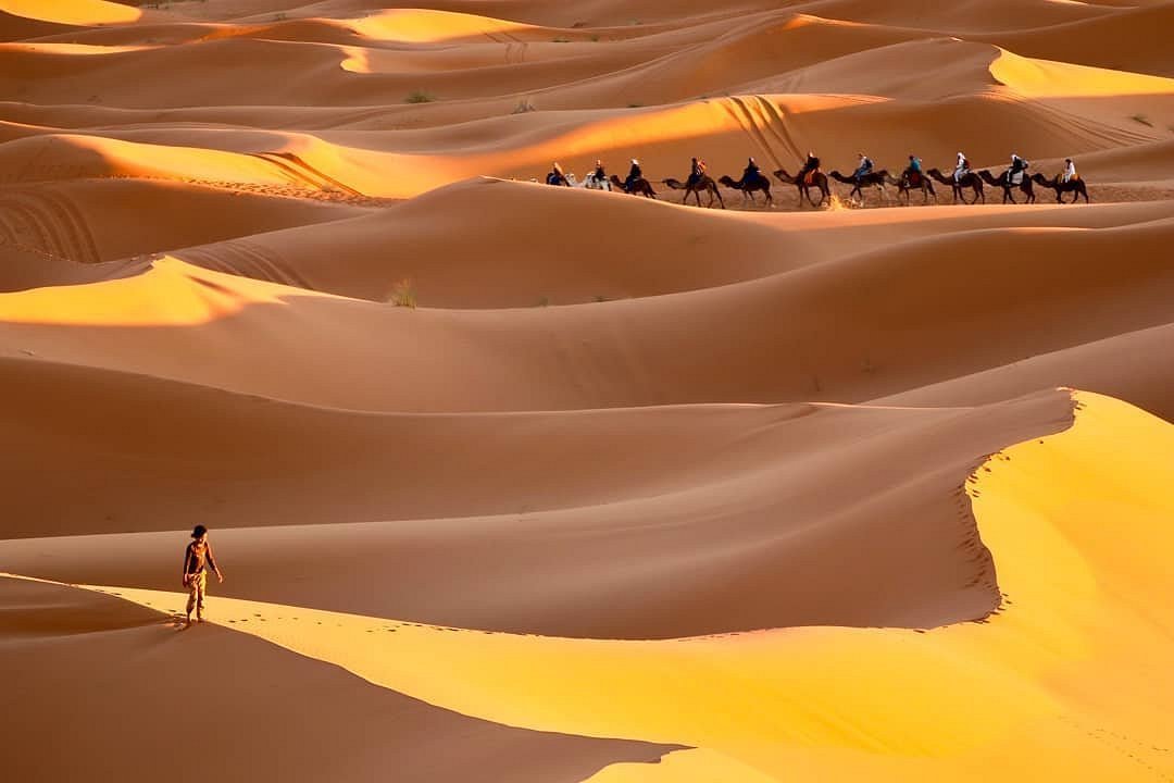 Tours privados al desierto
